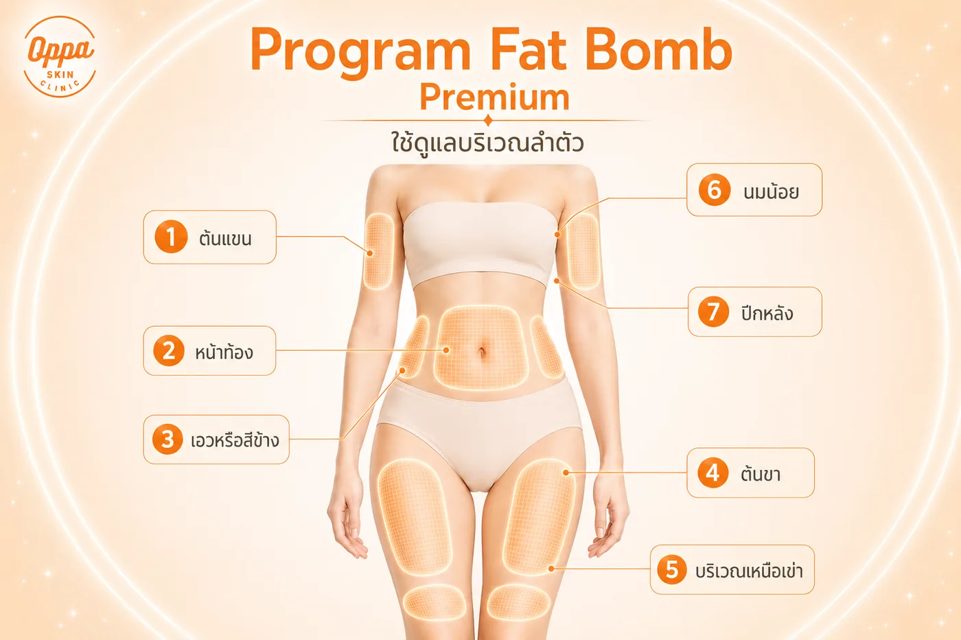 ตำแหน่งการทำโปรแกรม Fat Bomb Premium บริเวณลำตัว