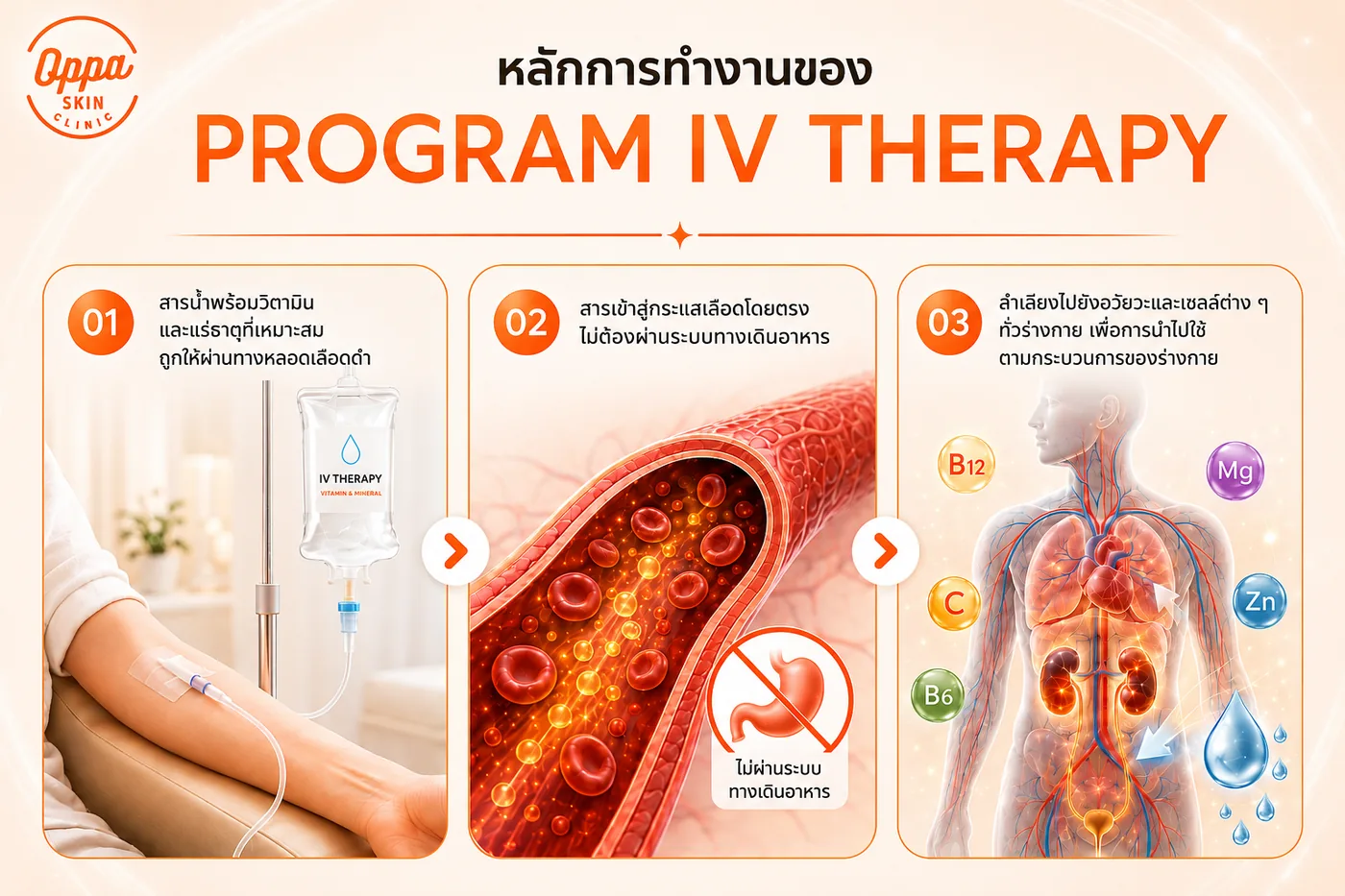 กลไกการทำงานของโปรแกรมดริปด้วยวิตามิน