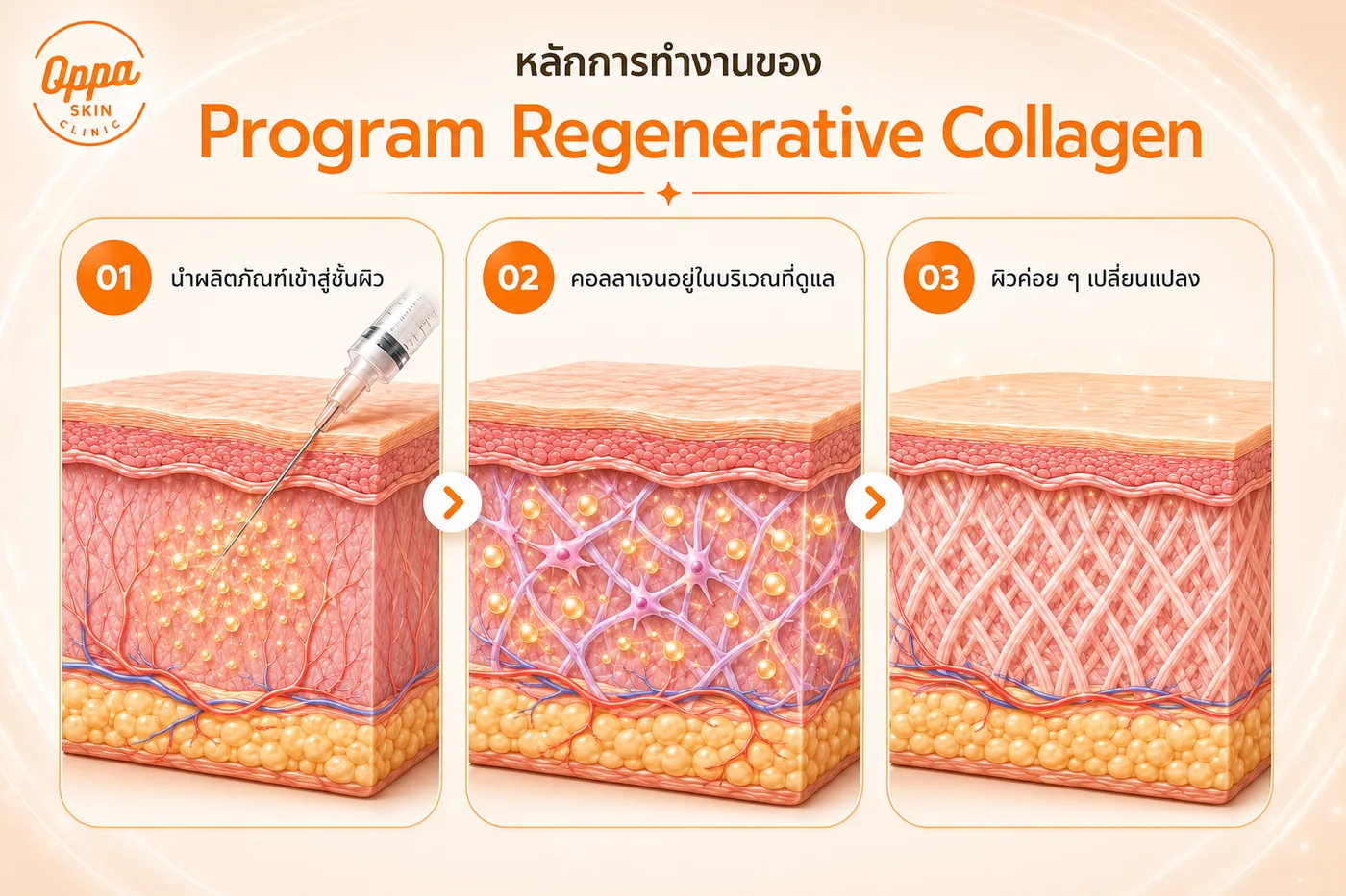หลักการทำงานของ Regenerative Collagen